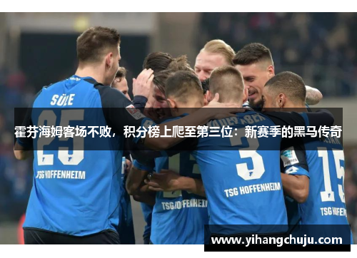 霍芬海姆客场不败，积分榜上爬至第三位：新赛季的黑马传奇