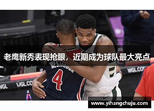 老鹰新秀表现抢眼，近期成为球队最大亮点