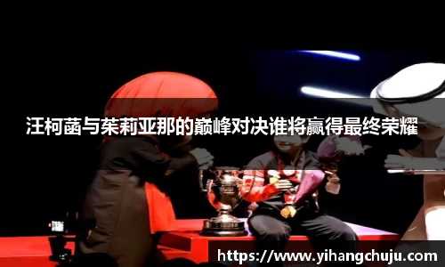 3377体育官网